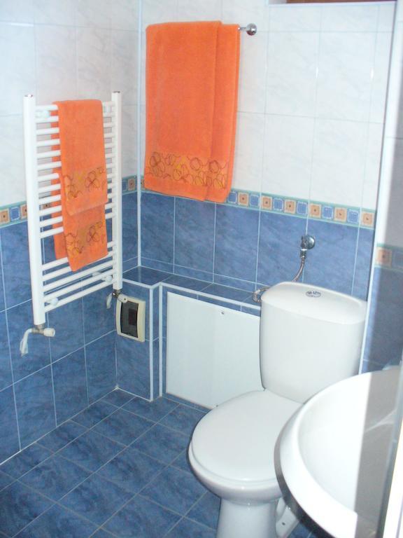 Guest House Alfa Daniel Balkanets  Bilik gambar