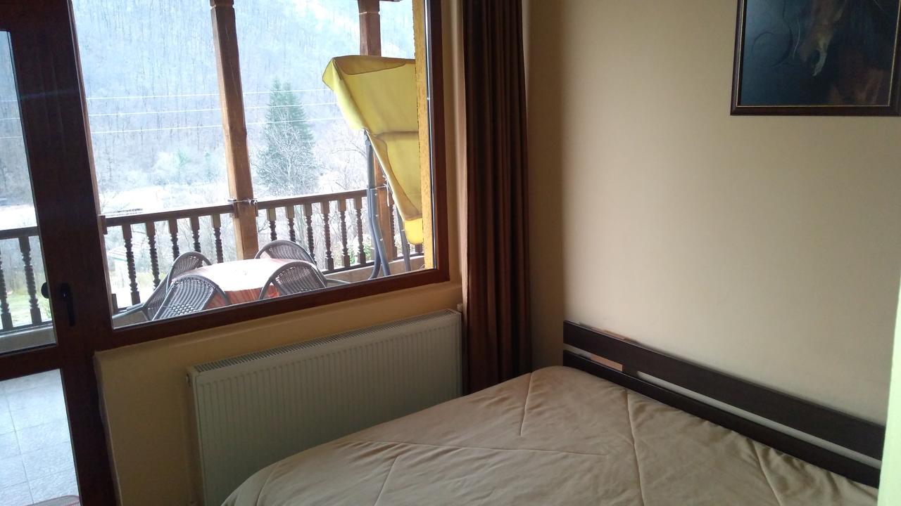 Guest House Alfa Daniel Balkanets  Luaran gambar